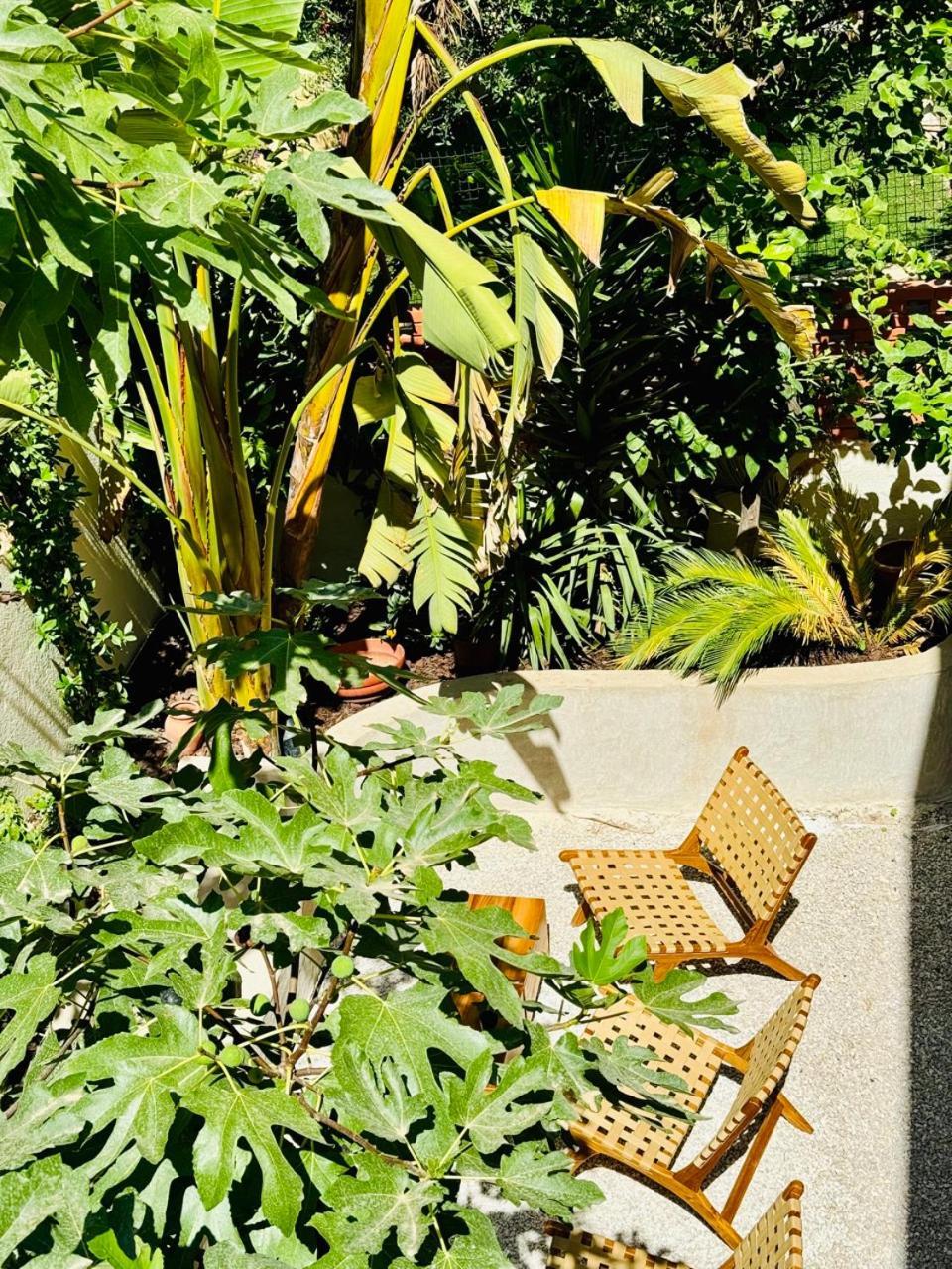 Maison Lyo Suite Luxe Cannes Dış mekan fotoğraf